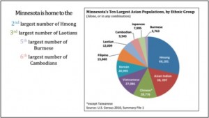 ethnic races pie